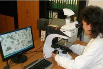 Macroscopic and Microscopic Analysis